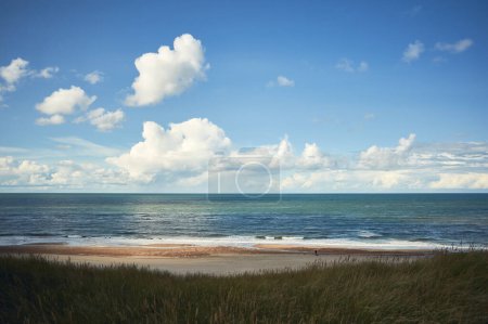 Coastline at the north sea. High quality photo