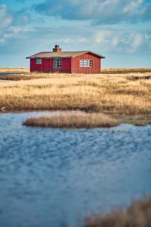 Red Cabin in danish landscape. High quality photo