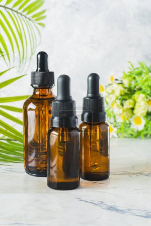 Photo for Vertical photograph of chamomile essential oil bottles and palm leaves with copy space - Royalty Free Image