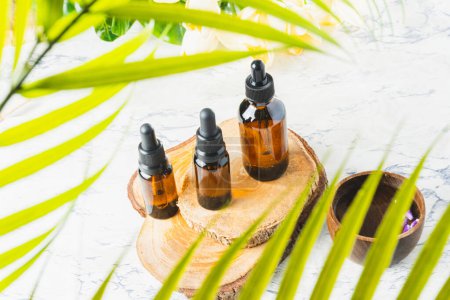 Photo for Group of essential oil bottles on wooden bases in the middle of palm leaves with copy space - Royalty Free Image