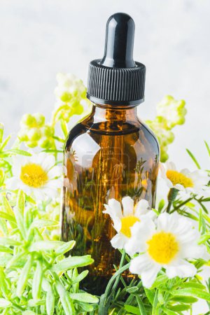 Téléchargez les photos : Photo verticale de la bouteille d'huile essentielle au milieu. feuilles et fleurs de camomille - en image libre de droit