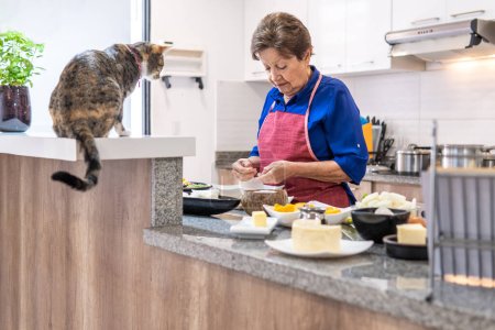 Téléchargez les photos : Elderly woman cooking in the kitchen while a tabby cat looks at her at the counter. Domestic life concept - en image libre de droit