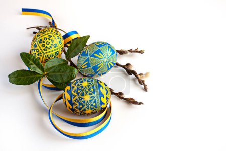 Téléchargez les photos : Traditional Ukrainian Easter eggs in national colors, twigs of willow and periwinkle and a yellow-blue ribbon on a white background - en image libre de droit