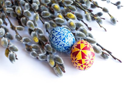Photo for Traditional Ukrainian Easter eggs and blooming willow twigs on a white background. Easter Palm Sunday. - Royalty Free Image