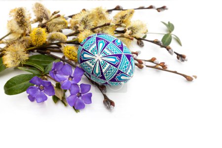Blue-purple Easter egg, twigs of flowering willow and flowers of periwinkle on a white background