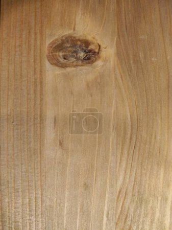 Photo for Wooden Texture Photo. Board with Wooden Fiber Backdrop. - Royalty Free Image