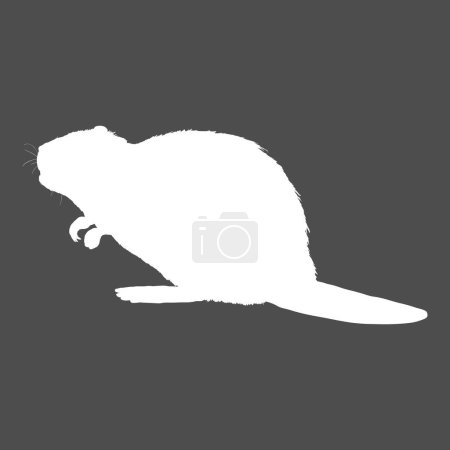 Illustration for Beaver White Silhoeutte Vector Illustration on Black Background - Royalty Free Image