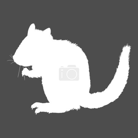 Illustration for White Silhouette of Chipmunk Vector Illustration on Dark Background - Royalty Free Image