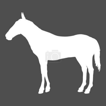 Téléchargez les illustrations : Silhouette blanche vectorielle de cheval debout - en licence libre de droit