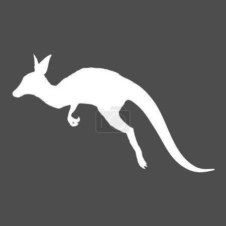 Illustration for Vector White Silhouette Jumping Kangaroo - Royalty Free Image