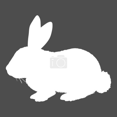 Téléchargez les illustrations : Silhouette blanche vectorielle de l'illustration de lapin - en licence libre de droit
