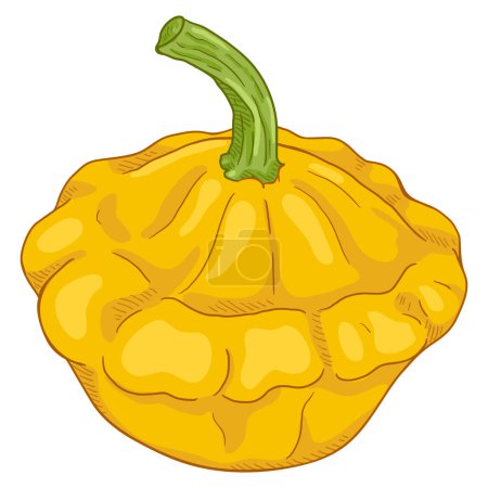 Ilustración de Vector Cartoon Yellow Squash. Fruta de Patisson - Imagen libre de derechos