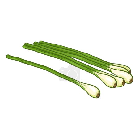 Illustration for Vector Cartoon Pile of Green Onions - Royalty Free Image