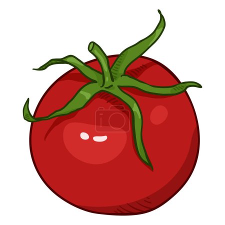 Ilustración de Vector de dibujos animados tomate rojo - Imagen libre de derechos