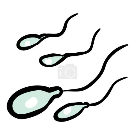 Téléchargez les illustrations : Sperme - Icône de caniche dessinée à la main - en licence libre de droit