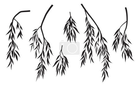 Ensemble de silhouettes noires de branches d'arbres avec des feuilles isolées sur blanc. Vecteur feuillage monochrome pleurant saule arbre. Éléments végétaux à feuilles caduques.