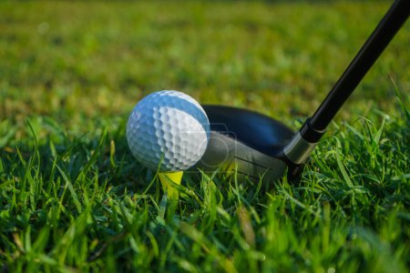 Photo for Golf club and ball on tee in grass. Golf balls on the golf course with golf clubs ready for the first short. In the morning, with the beautiful light. - Royalty Free Image