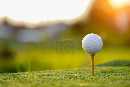 Golf piłka na tee w wieczornym polu golfowym ze słonecznym tle.                                