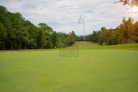 Green grass and woods on a golf field. Green grass and woods on a golf field. View of Golf Course with beautiful putting green. Golf course with a rich green turf beautiful scenery. 