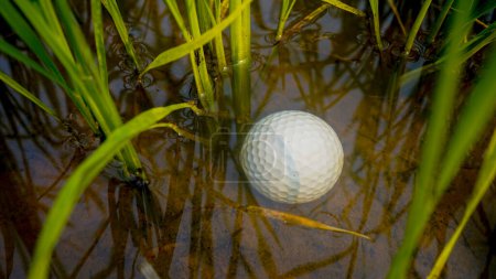 Photo for Golf ball in water hazard. Problems and obstacles of Golf balls are in danger from water. Problems and obstacles of golfers. White golf ball falls into the water One of the obstacles to playing golf - Royalty Free Image