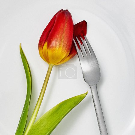 Foto de "No el plátano "Un vibrante tulipán rojo y amarillo se encuentra debajo de un tenedor en un plato blanco prístino. - Imagen libre de derechos