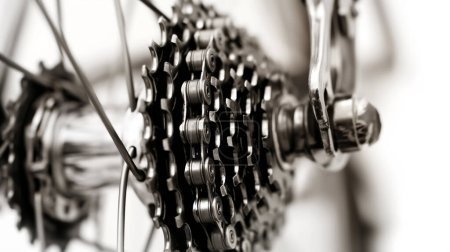 Close-up monochrome image of a bicycle's rear cassette and chain.