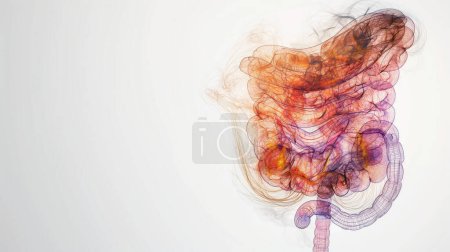 Abstract, colorful representation of the human digestive system on a white background.