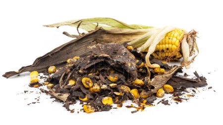 Descomposición de mazorca de maíz con moho y putrefacción, mostrando desperdicio de alimentos y descomposición.