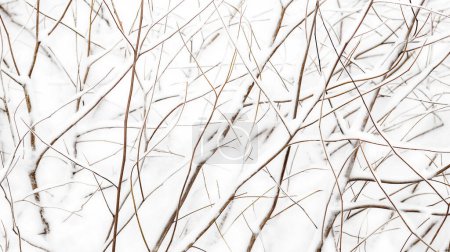 Kahle Äste kreuzen sich mit einem zarten Schneestaub und schaffen ein natürliches winterliches Gitter.