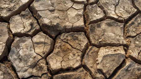 Close-up of deeply cracked, parched earth, showcasing the harsh effects of severe drought and environmental degradation.