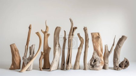 A collection of variously shaped and sized driftwood pieces arranged against a light grey background.