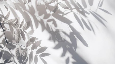 Sanfte Schatten zarter Blätter, die auf eine weiße Wand geworfen werden und ein elegantes und heiteres abstraktes Muster erzeugen.