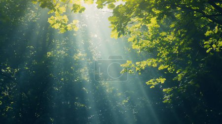Sunlight filtering through lush green leaves in a serene forest, creating rays of light and a tranquil atmosphere.