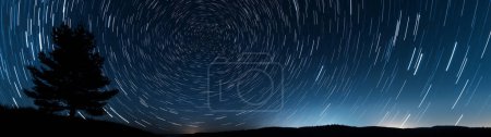 Long-exposure shot of a night sky with star trails forming circular patterns around the North Star, silhouetting a tree against the horizon.