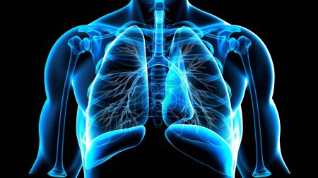 An X-ray style illustration of the human respiratory system, highlighting the lungs, trachea, and surrounding skeletal structure in vibrant blue against a black background.