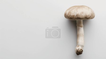 Single mushroom with a brown cap and white stem against a plain white background, highlighting its natural simplicity and texture.