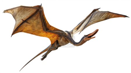 Pterosaurio realista con alas extendidas, deslizándose en vuelo, mostrando texturas detalladas y colores naturales.