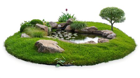 A small pond with lily pads and surrounded by rocks and green grass, featuring a single tree and various plants, creating a serene garden oasis.