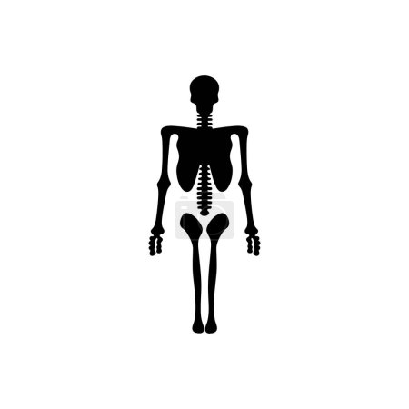 Illustration for Radiography icon on white background - Royalty Free Image