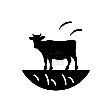 Illustration for Cows grazing icon isolated on white background - Royalty Free Image