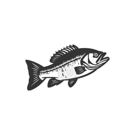 Illustration for Bass fish Icon on White Background - Simple Vector Illustration - Royalty Free Image