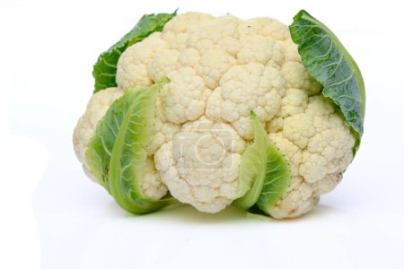 cauliflower on a white background studio shooting