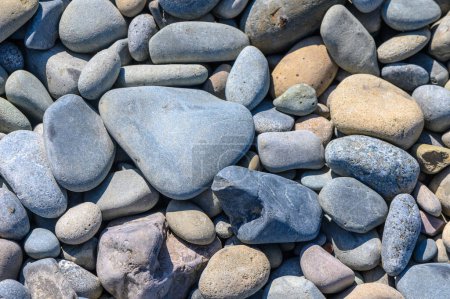 Photo for Small pebbles on the sea beach in summer - Royalty Free Image