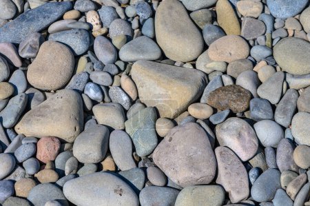 Photo for Small pebbles on the sea beach in summer 1 - Royalty Free Image