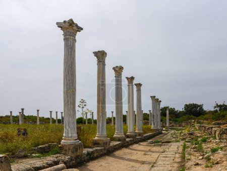old columns of salamis ruins, ancient city north cyprus and blue sky 7