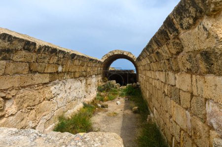 Salamis, Cyprus - April 16, 2024 - Ancient Greek ruins and columns in Salamis, Cyprus 4