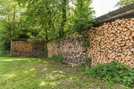 Photo for Wood pile, stacked and cut firewood, stored in an open shed, Thurgau Canton, Switzerland - Royalty Free Image