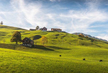 Foto de Paisaje montañoso con casas rurales, prados verdes y pastos en el valle de Toggenburg, Nesslau, Canton St. Gallen, Suiza - Imagen libre de derechos
