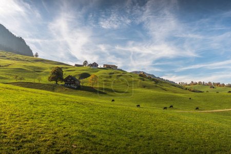 Foto de Paisaje montañoso con casas rurales, prados verdes y pastos en el valle de Toggenburg, Nesslau, Canton St. Gallen, Suiza - Imagen libre de derechos
