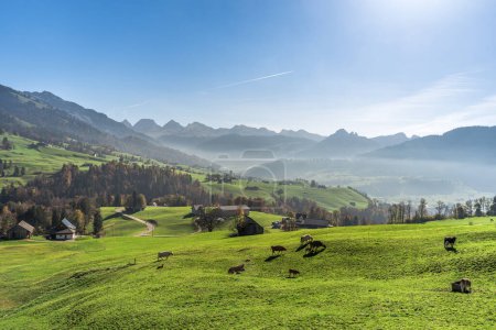 Foto de Paisaje montañoso montañoso en Toggenburg con granjas y vacas de pastoreo, vista a la cordillera Churfirsten, Ennetbuehl, Canton St. Gallen, Suiza - Imagen libre de derechos